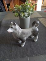 Hund Hundefigur Pozellan Sibirischer Laika Husky Porzellanfigur Nordrhein-Westfalen - Werl Vorschau