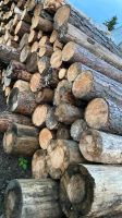 Brennholz zu verkaufen!!! Sachsen - Wittichenau Vorschau