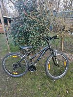 Mountainbike von Trek Modell Skye 26 Zoll 24 Gänge Brandenburg - Glienicke/Nordbahn Vorschau