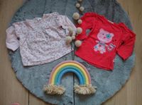 Set Langarmshirt Shirt Katze pink rot Mädchen Gr. 74 Baby Club Niedersachsen - Rühen Vorschau