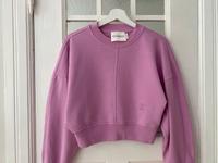CLOSED Cropped Seeater Größe XS Sweatshirt Pullover Altstadt-Lehel - München/Lehel Vorschau