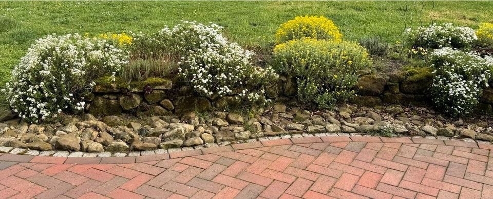 30m Sandsteinmauer x 40cm hoch + Feldsteine in Bersenbrück