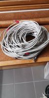 12 Patchkabel 5m Cat5e Gigabit gebraucht Rheinland-Pfalz - Meckenheim Vorschau