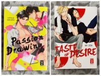 Passion Drawing/Taste of Desire Boys Love Manga Einzelband Yaoi Sachsen-Anhalt - Bitterfeld Vorschau