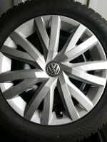 4x neuwertig 205 55 R16 91H Dunlop Winterreifen VW Golf Stahlfelg Nordrhein-Westfalen - Detmold Vorschau