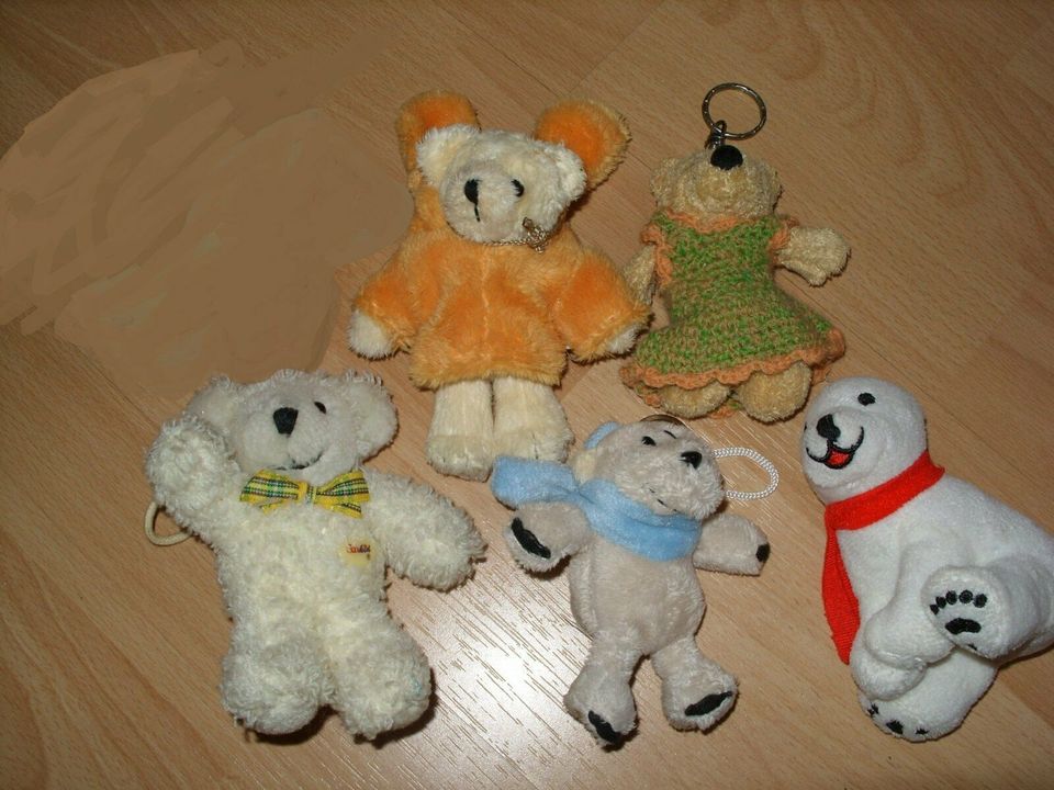 5 Teddys Eisbär Sunkid Nici in Eisenach