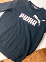 Puma Pullover Rheinland-Pfalz - Horhausen (Nassau) Vorschau