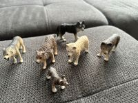 Schleich 5 Wölfw Nordrhein-Westfalen - Mönchengladbach Vorschau