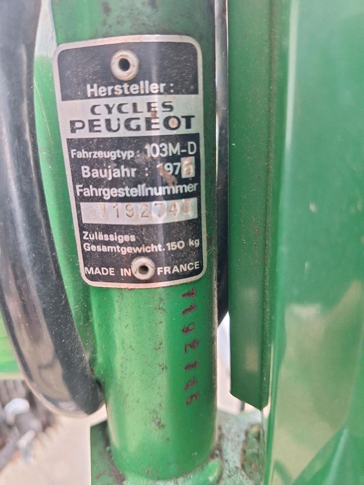 Peugeot 103 Mofa in Porta Westfalica