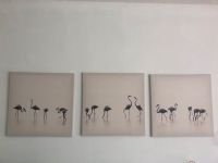 Pjätteryd Ikea: Bild Bildserie Leinwand Flamingo Baden-Württemberg - Karlsruhe Vorschau