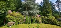 Traumlage am Waldpark im Kurgebit Nordrhein-Westfalen - Horn-Bad Meinberg Vorschau