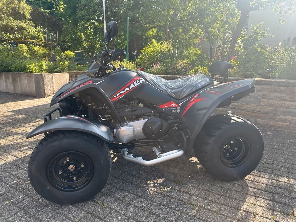 QUAD  MAXXER S 300 T ONROAD LOF in Recklinghausen