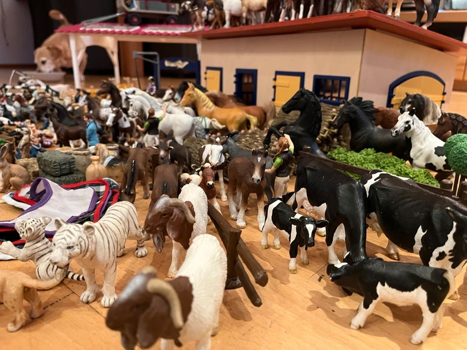 Großer Schleich Reiterhof in Stolberg (Rhld)