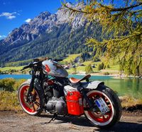 Harley-Davidson Iron 1200 Sportster Projekt Bike "Der rote Baron" Baden-Württemberg - Meckenbeuren Vorschau