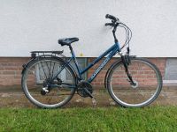 28" Rabeneick Damen City Touren Fahrrad. LED Licht,Nabendynamo Münster (Westfalen) - Mauritz Vorschau