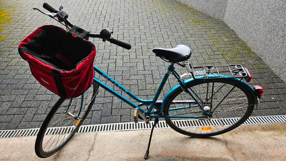 Damenfahrrad Hollandrad - Pegasus - 28 Zoll in Kassel