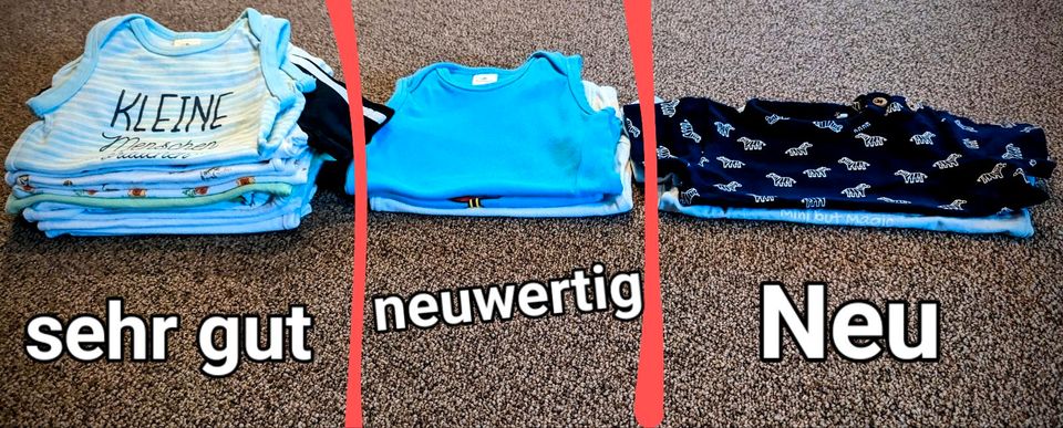 Kleines Baby Junge Sommer Paket 50/56 ✓ viel 1. Hand ✓ Sets in Horstedt (Niedersachsen)