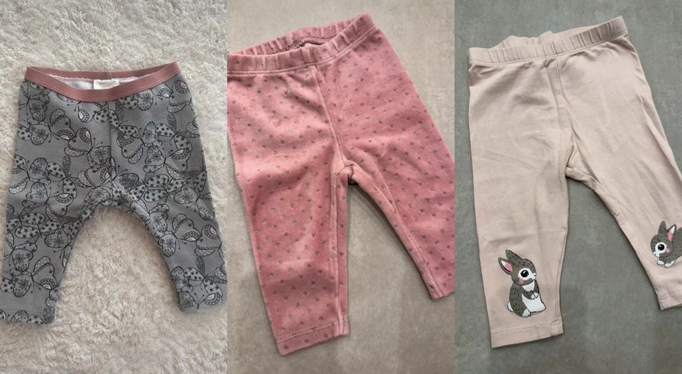 Pullover Shirt Leggings Hosen Bodys Mädchen 62 und 68 in Troisdorf