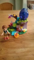 Lego Elves Winddrachenbaby und diverses Hessen - Rüdesheim am Rhein Vorschau