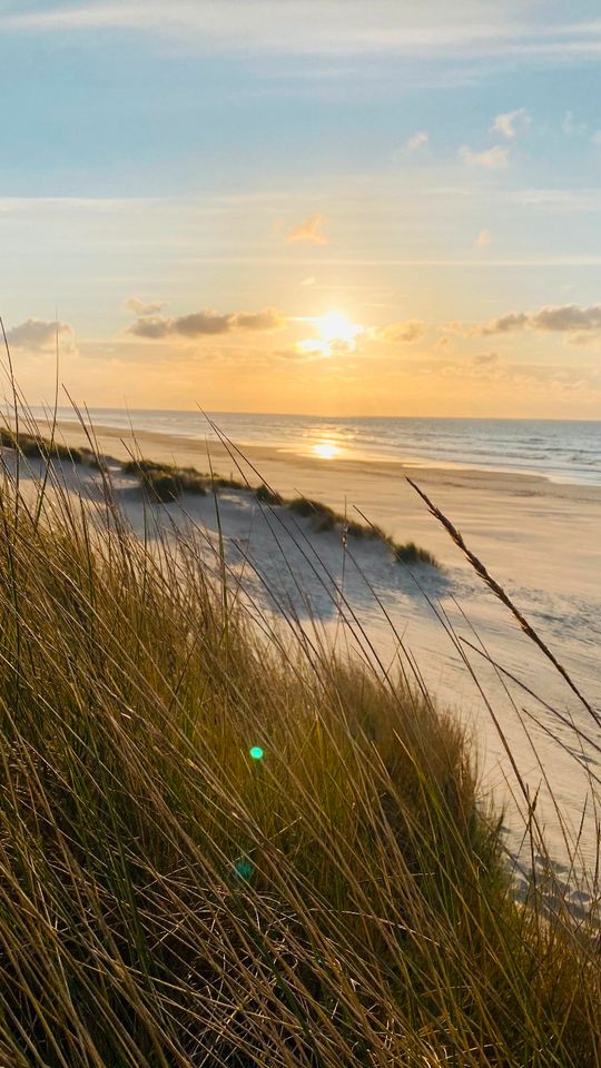 Ameland Mobilheim Urlaub Chalet Klein Vaarwater Buren in Rhauderfehn