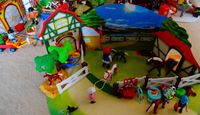 PLAYMOBIL  Pferde Pony  Reiterhof Bauernhof Tiere Bayern - Bad Aibling Vorschau