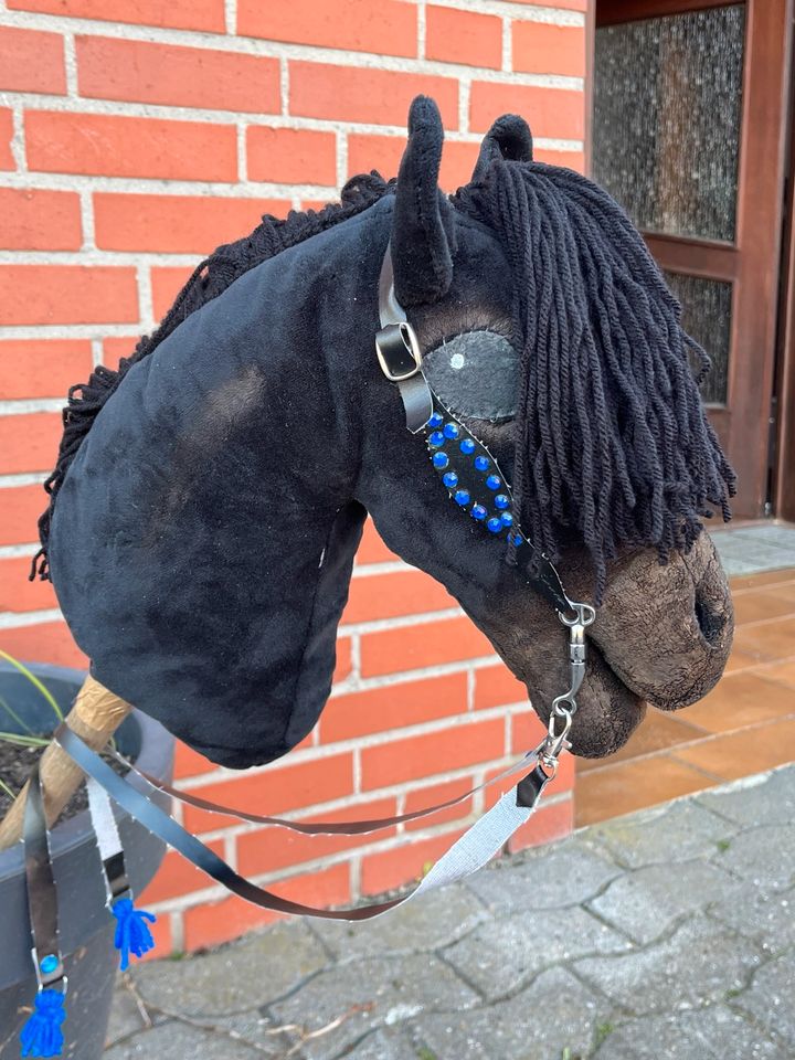 Hobby Horse in Lindern (Oldenburg)