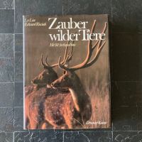 Zauber wilder Tiere - Les Line + Edward Ricciuti - gebunden Hessen - Darmstadt Vorschau