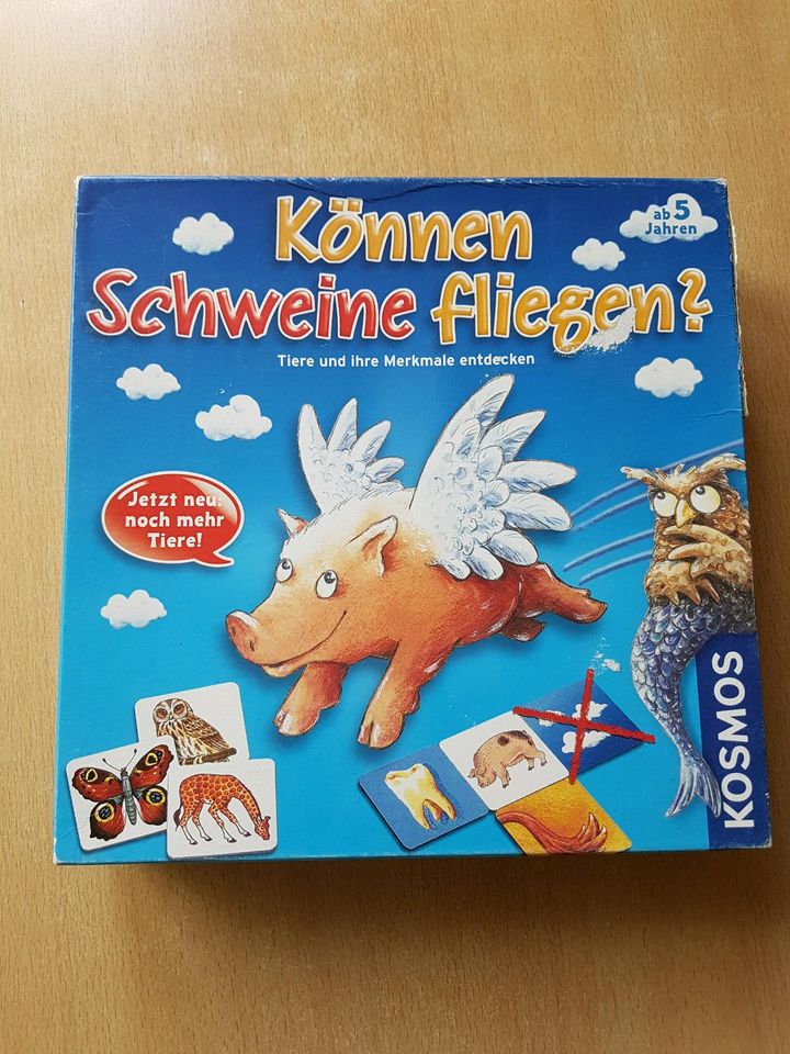 Können Schweine fliegen große Ausgabe jetzt noch mehr Tiere in Gießen