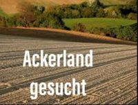 Ackerland Wiese Felder Bühl Ottersweier Achern Großweier Unzhurst Baden-Württemberg - Achern Vorschau