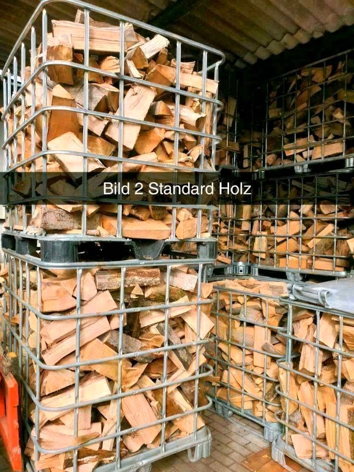 ANGEBOT❗️ kammergetrocknetes Buchen Brennholz Kaminholz Frisch in Gladenbach