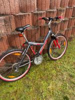 Mountainbike Univega Flyte 300 26 Zoll - rot grau. Rheinland-Pfalz - Wiesbach Vorschau