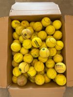 107 Tennisbälle gebraucht Bayern - Cham Vorschau