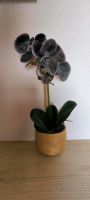 Orchidee schwarz Gold Kunstpflanze Nordrhein-Westfalen - Euskirchen Vorschau