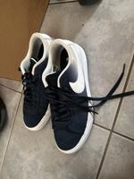 Nike sb Schuhe Größe 42,5 Nordrhein-Westfalen - Paderborn Vorschau