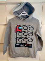 Name it Hoodie Sweatshirt grau Kapuze Gr. 116 Top Bayern - Haibach Unterfr. Vorschau