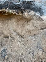 Sand zu verschenken Niedersachsen - Langenhagen Vorschau