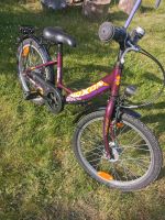 20er Kinderfahrrad von Noxon Niedersachsen - Söhlde Vorschau