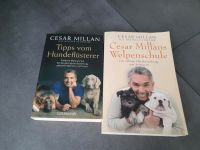 Cesar Millan Hunde Buch Welpen Schule Nordrhein-Westfalen - Moers Vorschau