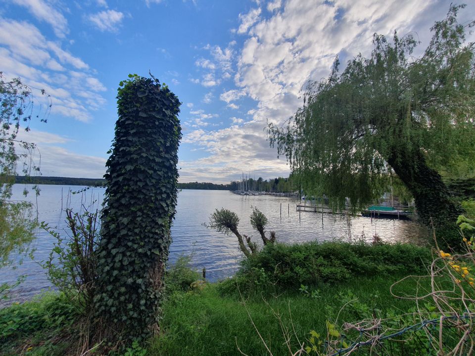 stilvolle Villa mit Potential --- idyllisch mit Havelblick in Berlin