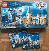 Harry Potter Lego Peitschende Weide 75953 Nordrhein-Westfalen - Rhede Vorschau