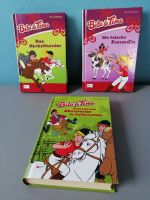 3x Bibi & Tina ❤ Band 7, 8, 9, 15, 20 ❤ Schneider Buch Bayern - Bernhardswald Vorschau