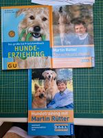 Hundetraining, Bücher Martin Rütter, Ratgeber Hund Rostock - Kröpeliner-Tor-Vorstadt Vorschau