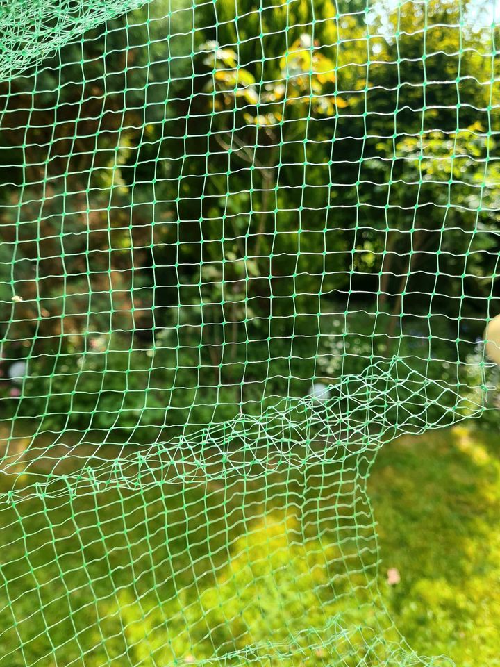 Vogelschutznetz 4x2m in Dinslaken