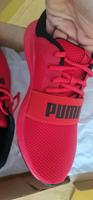 Neue Puma Schuhe Hessen - Bad Vilbel Vorschau