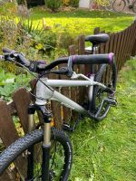 BEFLY HERO ONE Giant MTB BIKE SILVER Sachsen - Taucha Vorschau