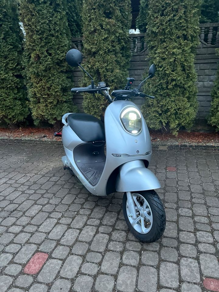 Elektroroller / Moped in Schwedt (Oder)