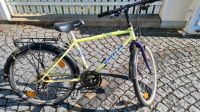 Wheeler 24 zoll MTB Mountainbike Jugendfahrrad Bayern - Hebertshausen Vorschau