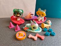 Littlest Pet Shop - Set (Schlitten-Tour) Rheinland-Pfalz - Deesen Vorschau