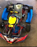 World Formula Rennkart 15 ps Hessen - Hungen Vorschau