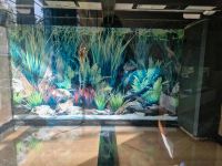 Aquarium Jewel Vision Nordrhein-Westfalen - Hattingen Vorschau